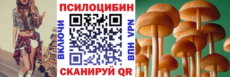 Купить закладки  Пикалёво  Псилоцибиновые грибы MAGIC MUSHROOMS 
